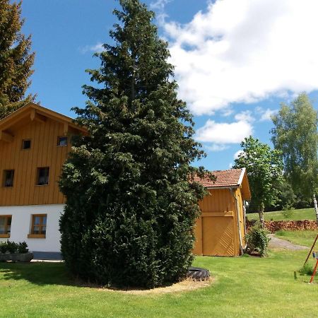 Lovely Holiday Home In Viechtach Near The Forest Esterno foto