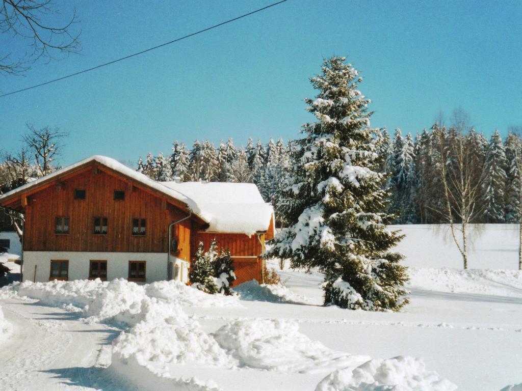 Lovely Holiday Home In Viechtach Near The Forest Esterno foto