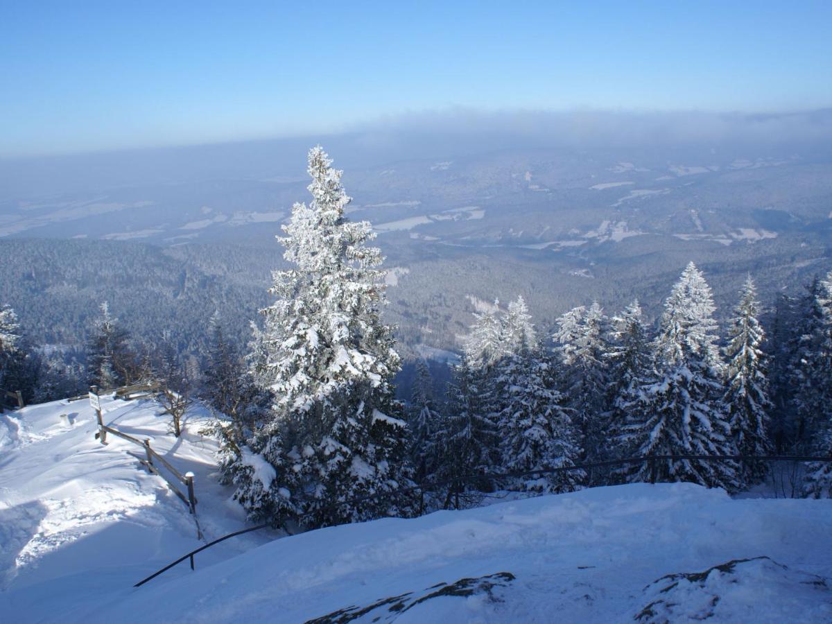 Lovely Holiday Home In Viechtach Near The Forest Esterno foto